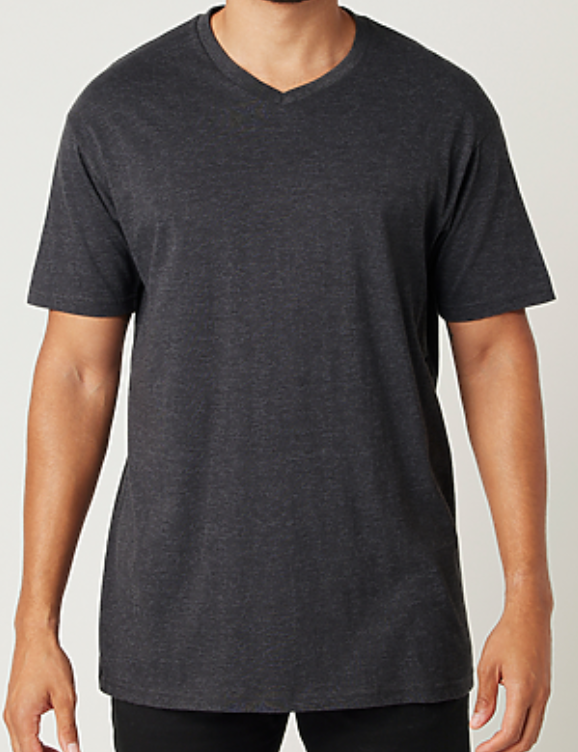 Men's 'Newell N' Back T-Shirt | V-Neck